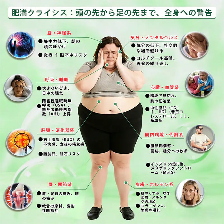 🌿🌿Laleia® モリンガ＆ベルベリン×NAD+ 10-in-1 アドバンストナノマイクロニードルパッチ👩‍⚕️（1日1回、7日で実感できる変化） ✅ 肥満、たるみ肌、糖尿病などに。