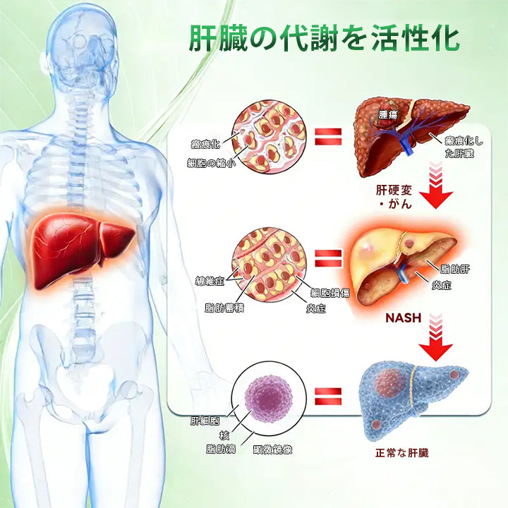 🌿🌿Laleia® モリンガ＆ベルベリン×NAD+ 10-in-1 アドバンストナノマイクロニードルパッチ👩‍⚕️（1日1回、7日で実感できる変化） ✅ 肥満、たるみ肌、糖尿病などに。