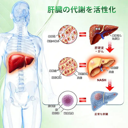 🌿🌿Laleia® モリンガ＆ベルベリン×NAD+ 10-in-1 アドバンストナノマイクロニードルパッチ👩‍⚕️（1日1回、7日で実感できる変化） ✅ 肥満、たるみ肌、糖尿病などに。